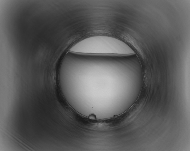 X0000094770212200711160837