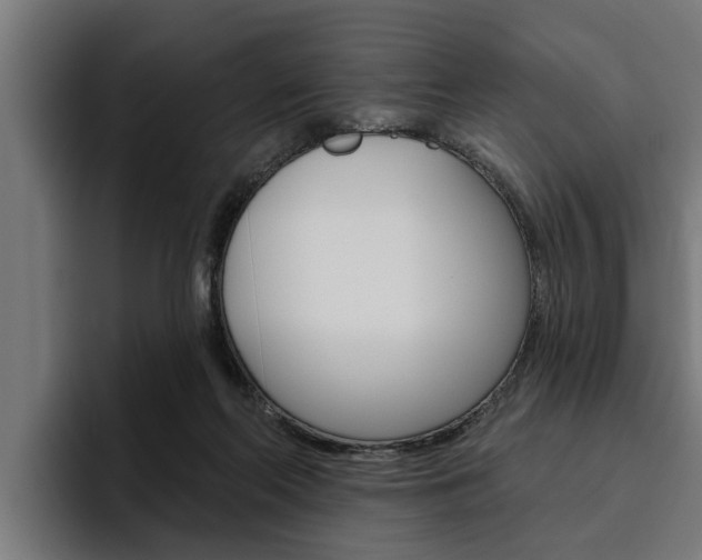 X0000094770214200711160837