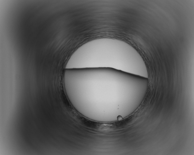 X0000094770222200711160837