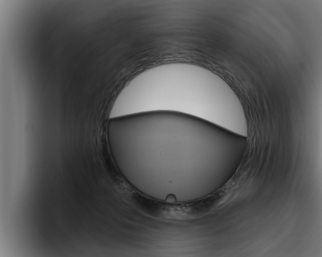 X0000094770223200711160836
