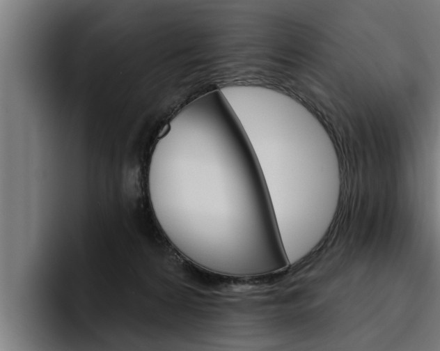 X0000094770224200711160836