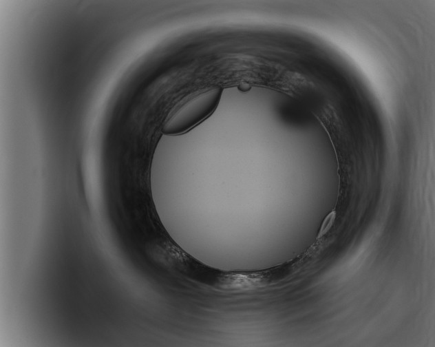 X0000094770239200711160836