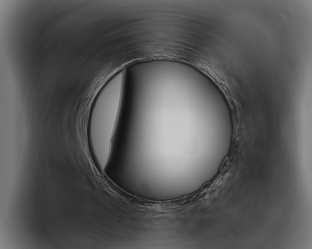 X0000094770241200711160836