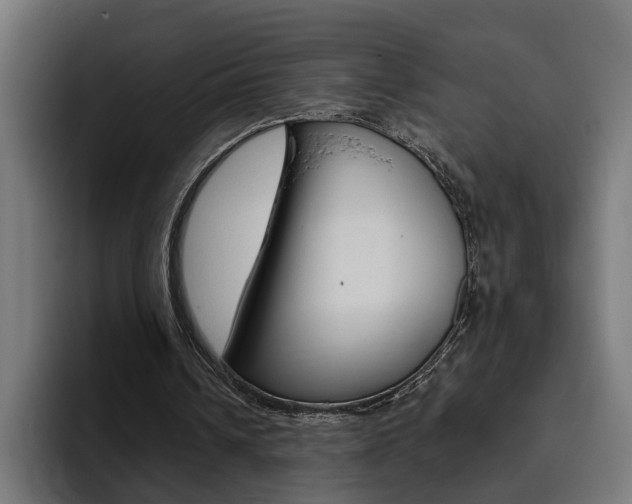 X0000094770242200711160836