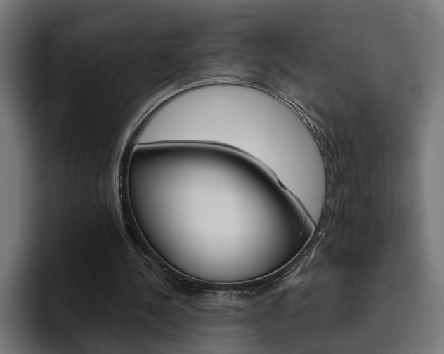 X0000094770244200711160836