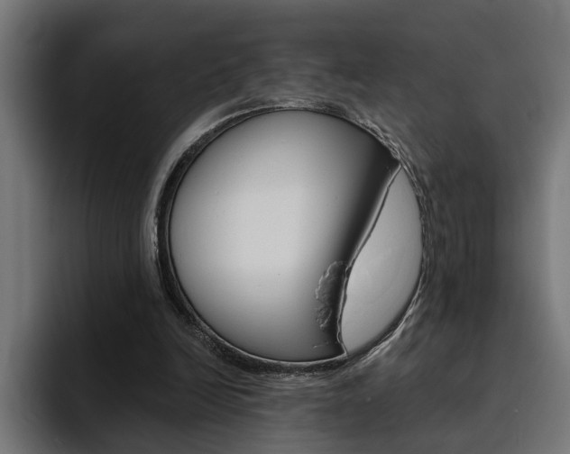 X0000094770246200711160836