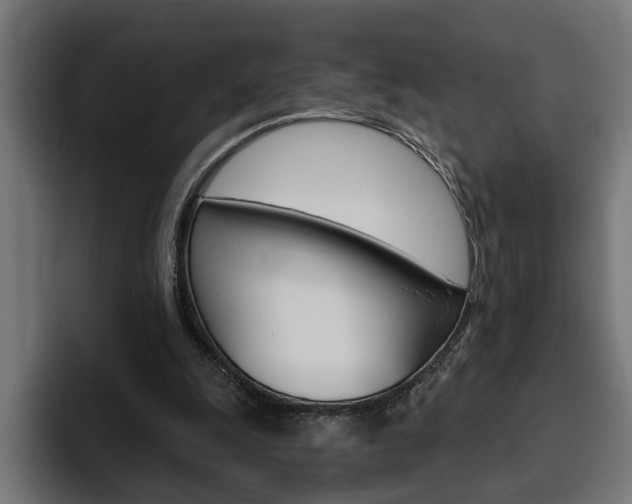 X0000094770247200711160836