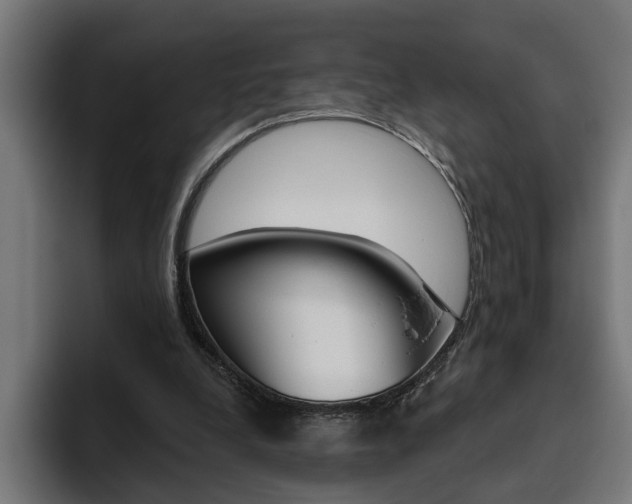 X0000094770248200711160836