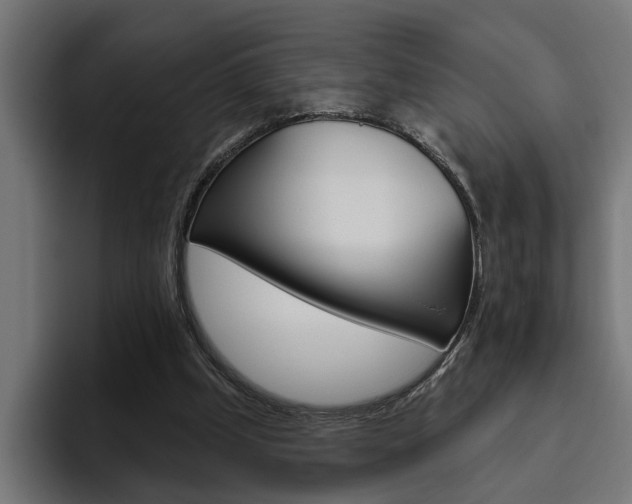 X0000094770249200711160836
