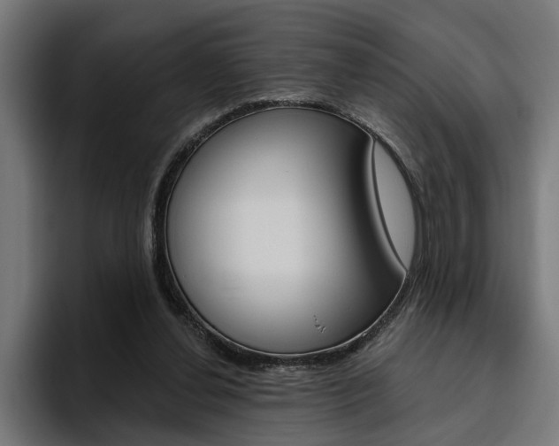 X0000094770252200711160836
