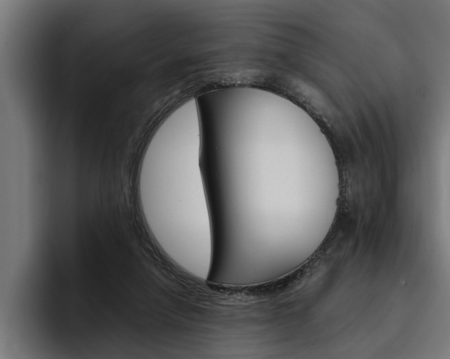 X0000094770258200711160836