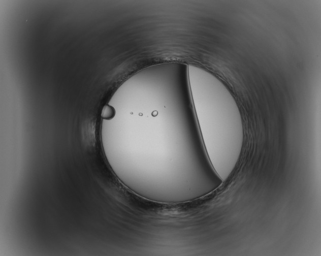 X0000094770262200711160836