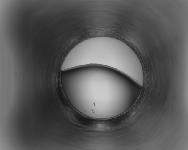 X0000094770264200711160836