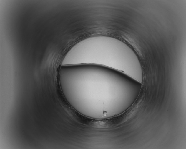 X0000094770265200711160836