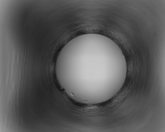 X0000094770278200711160836