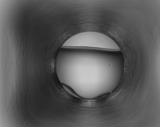 X0000094770288200711160836