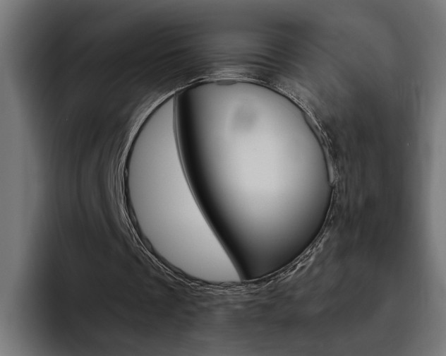 X0000094770289200711160836