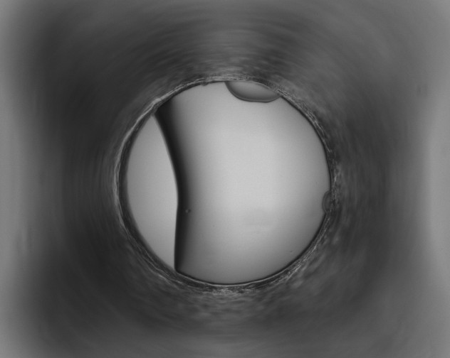 X0000094770290200711160836