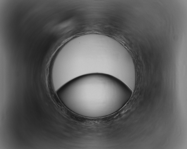 X0000094770291200711160836
