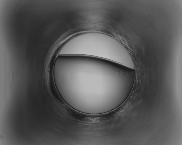 X0000094770295200711160836
