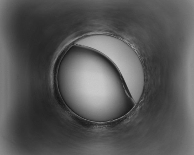 X0000094770296200711160836