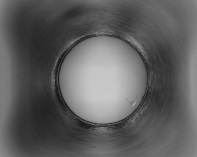 X0000094770298200711160836