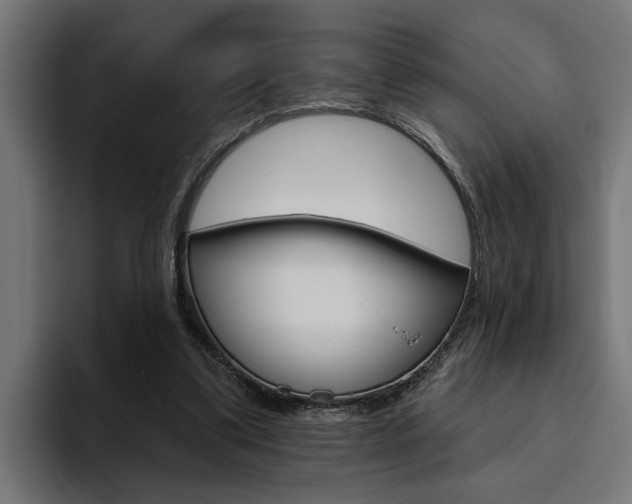 X0000094770299200711160835
