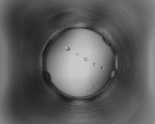 X0000094770300200711160835