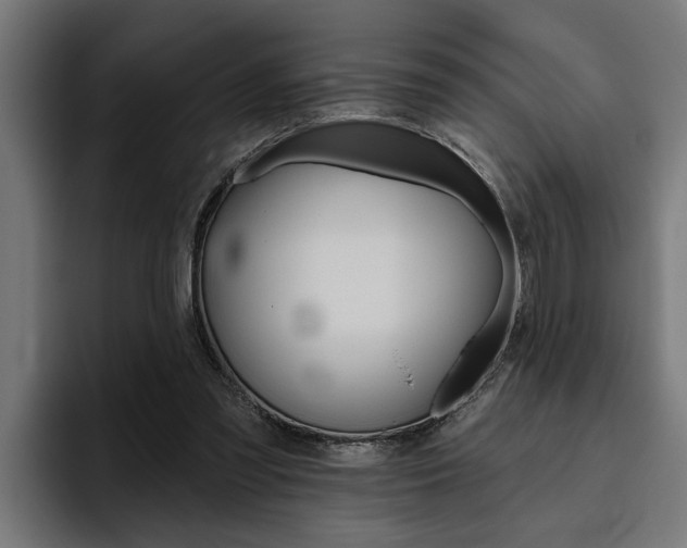 X0000094770301200711160835