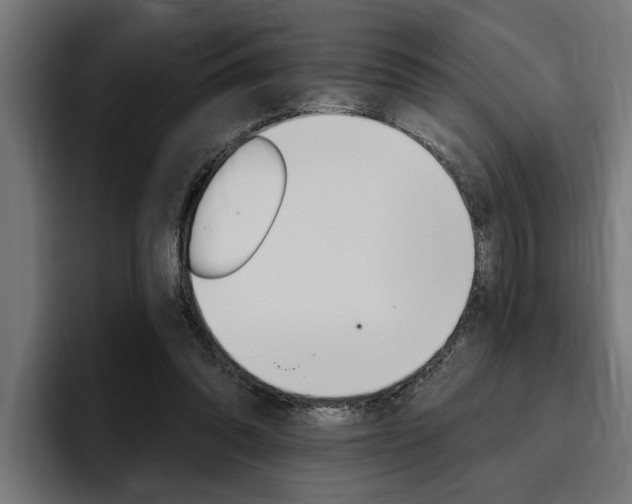 X0000094770302200711160835
