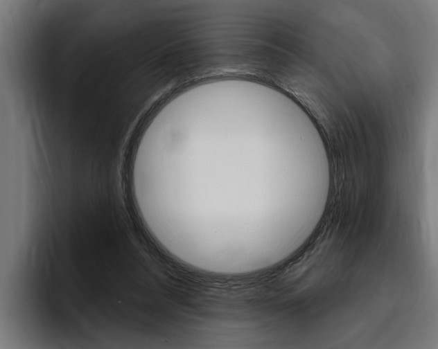 X0000094770304200711160835