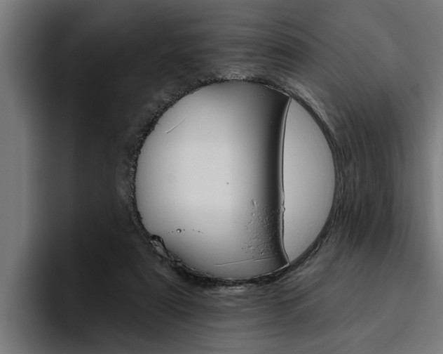 X0000094770307200711160835
