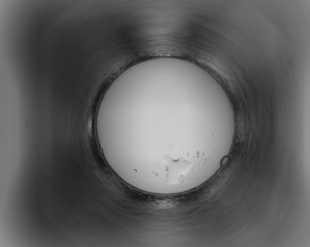 X0000094770310200711160835