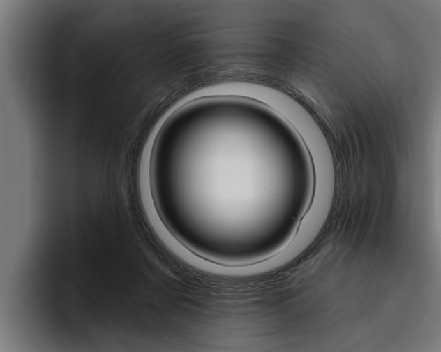 X0000094770311200711160835