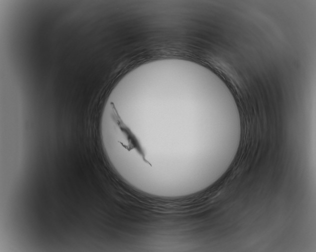 X0000094770312200711160835