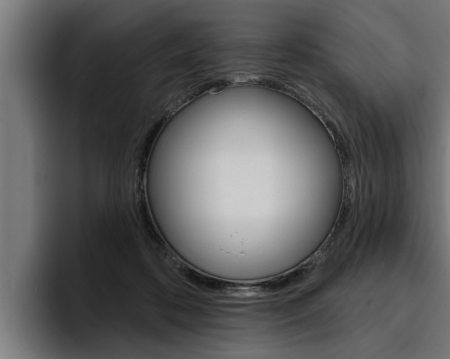 X0000094770316200711160835