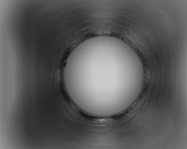 X0000094770323200711160835