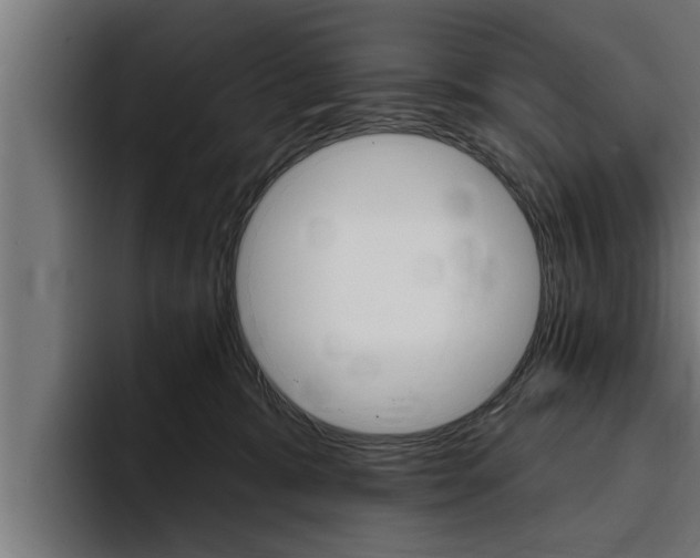 X0000094770327200711160835