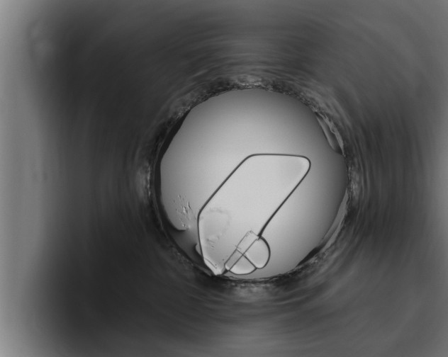X0000094770332200711160835