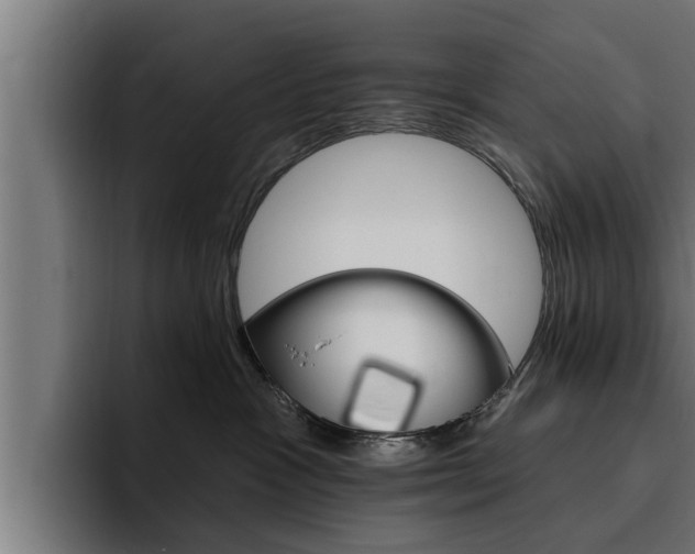X0000094770333200711160835