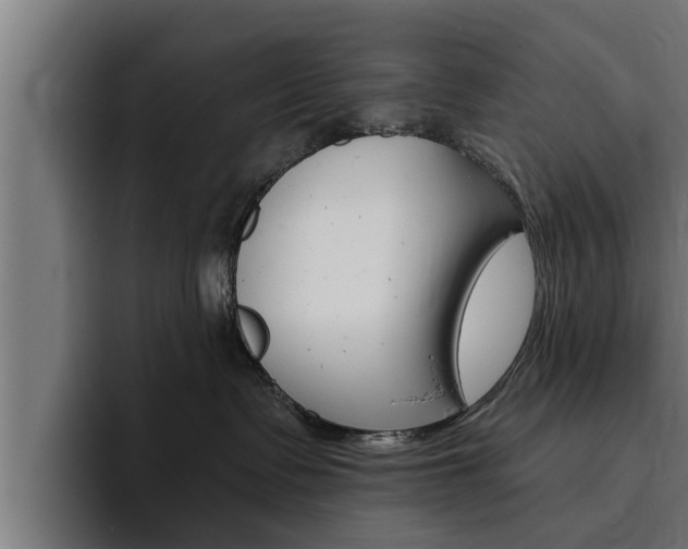 X0000094770335200711160835