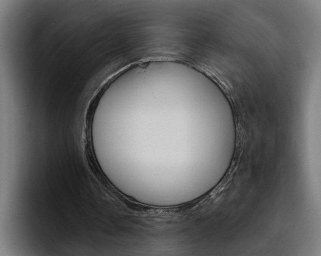 X0000094770338200711160834