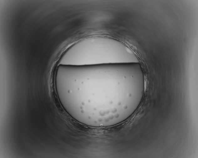 X0000094770339200711160834
