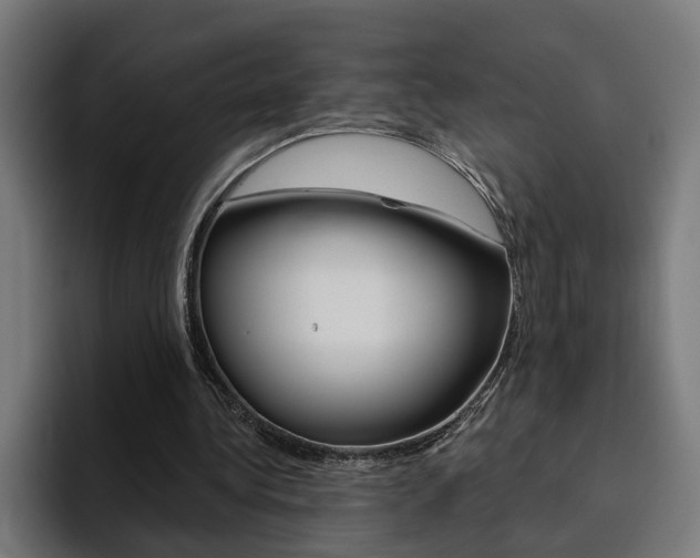 X0000094770340200711160834