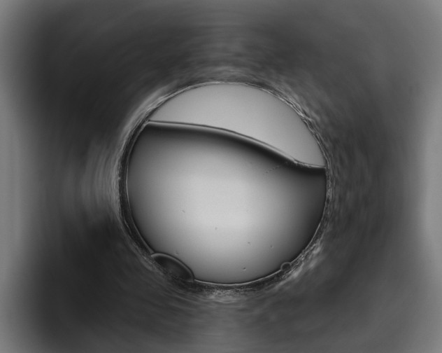 X0000094770341200711160834