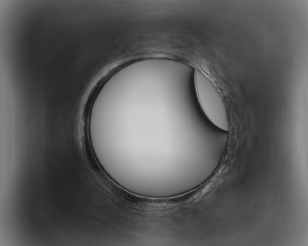 X0000094770342200711160834
