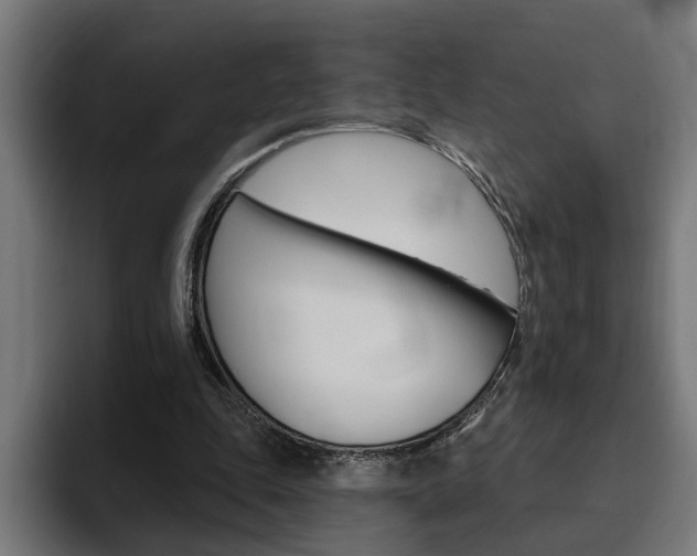X0000094770343200711160834