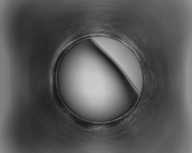 X0000094770344200711160834