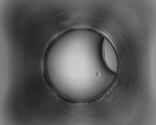 X0000094770345200711160834