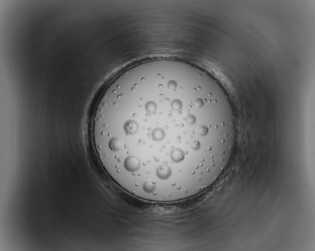X0000094770346200711160835